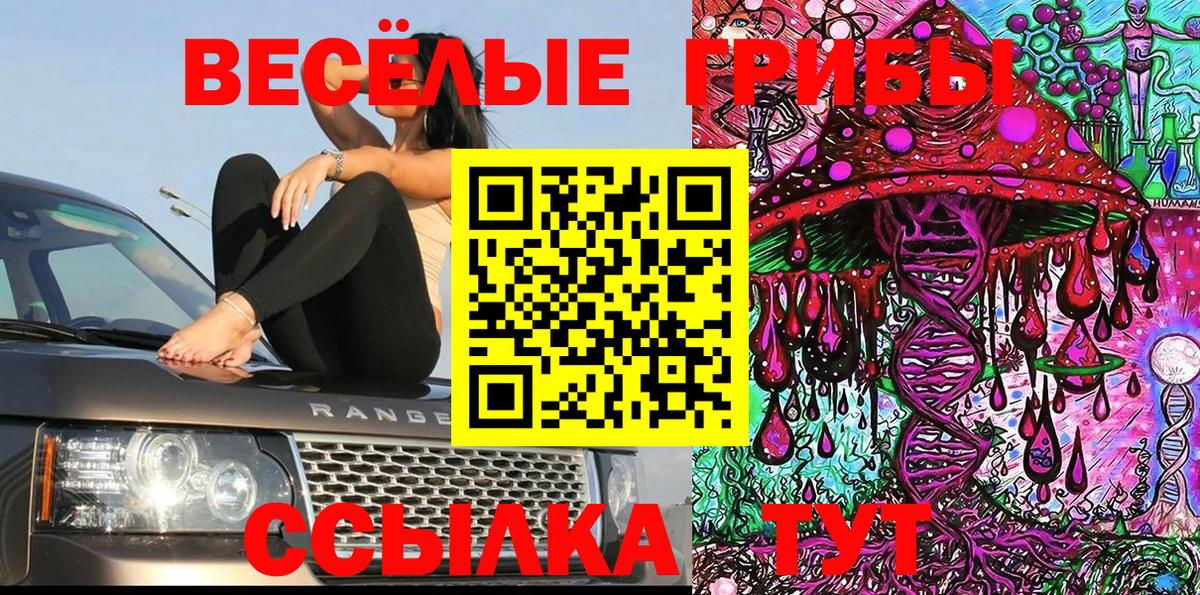 цены   Псилоцибиновые грибы прущие грибы  Вход с VPN  Троицк  Галлюциногенные грибы мицелий 