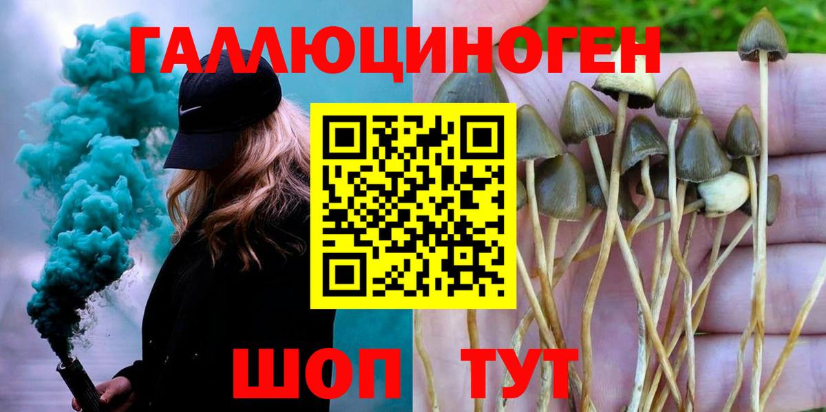 Галлюциногенные грибы Psilocybine cubensis Троицк